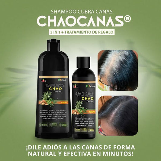 Shampoo CHAOCANAS® + Tratamiento GRATIS