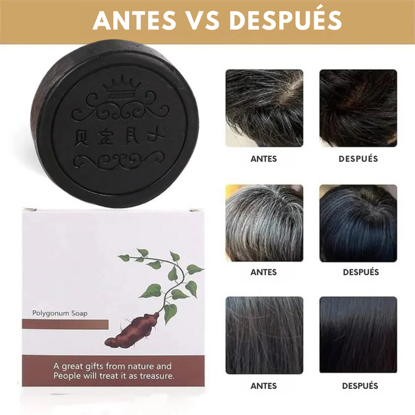 HairRevive™ | Oferta 2X1 ✨ Shampoo Anticaída & Anti caspa
