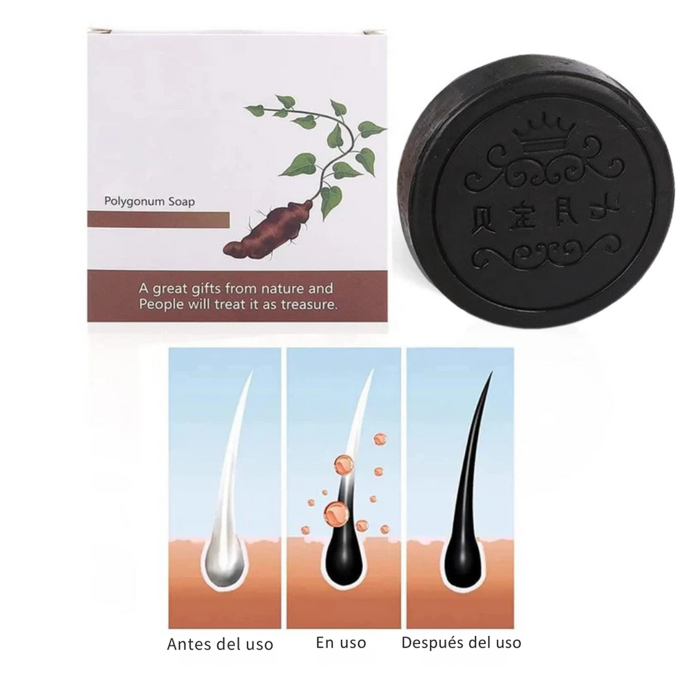 HairRevive™ | Oferta 2X1 ✨ Shampoo Anticaída & Anti caspa